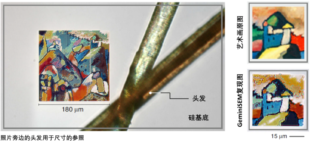 本溪蔡司本溪扫描电镜